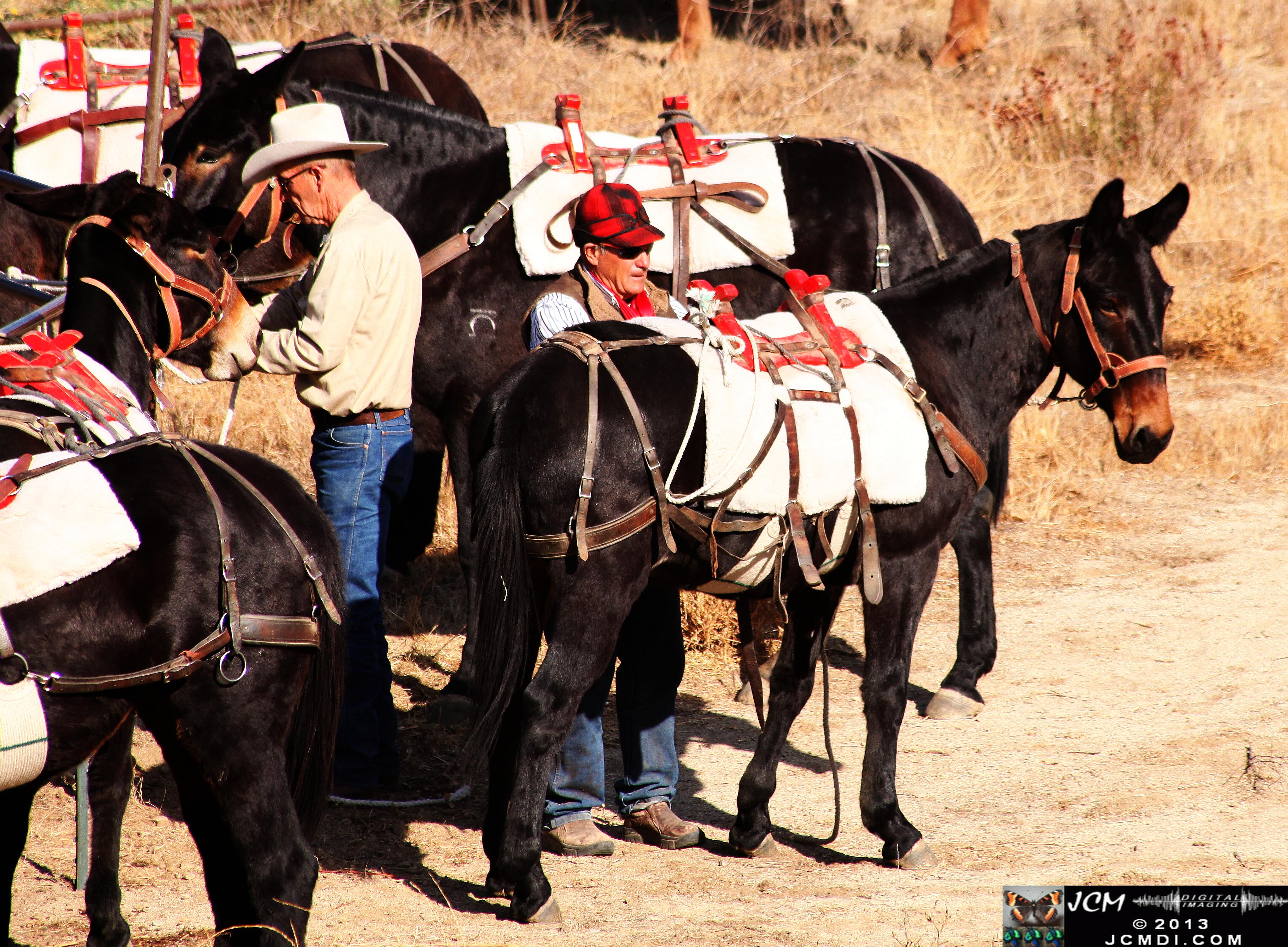 100 Mule Team at Whitney Canyon